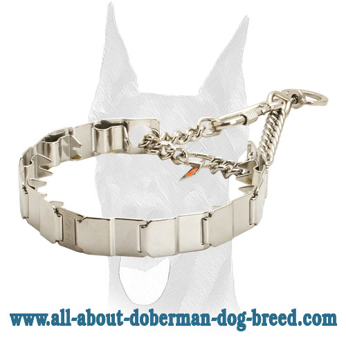 Neck tech pinch Doberman collar of stainless steel