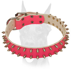 Strong, durable pink leather Doberman collar with secure rivets