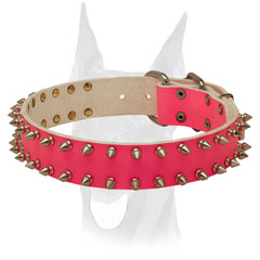 Pink leather collar with 2 rows of nickel spikes for Doberman