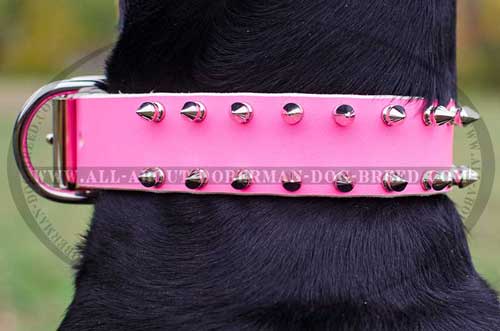 Spiked Doberman collar of pink leather