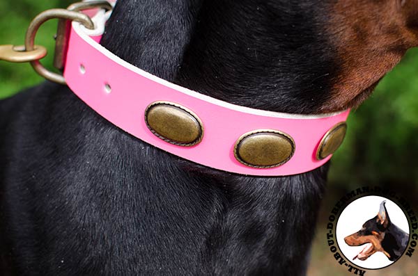 Pink leather collar with old brass plates