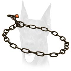 Obedience training black metal collar