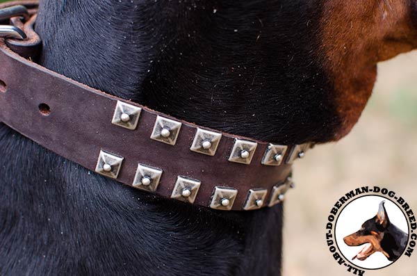 2 rows studs Doberman leather collar