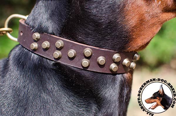 Super soft leather Doberman collar