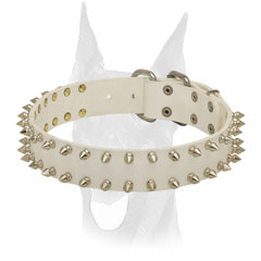 Elegant white leather Doberman collar
