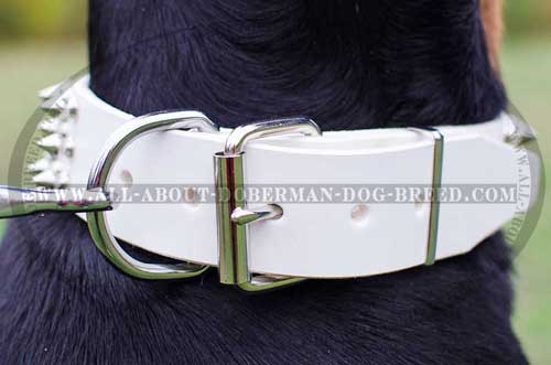 Durable rust proof fittings for Doberman collar