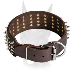 Durable Doberman collar