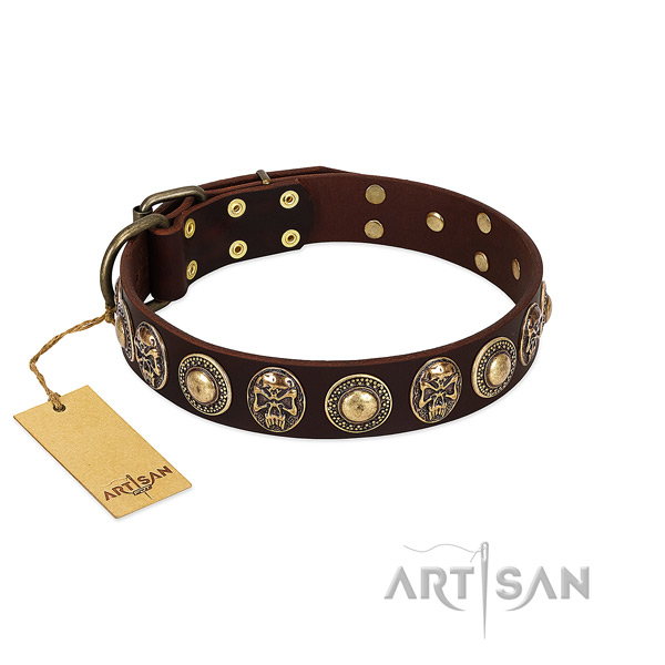 Extraordinary genuine leather dog collar for stylish walking