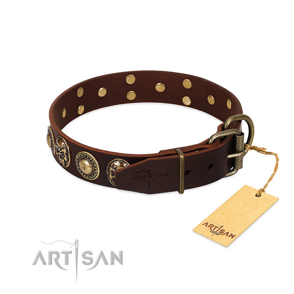 Walking genuine leather collar with adornments for your pet