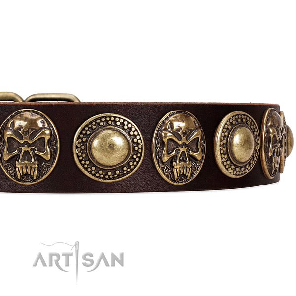 Natural genuine leather dog collar with studs for everyday use