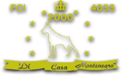 Dobermans