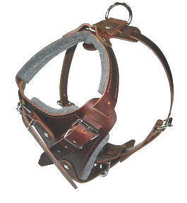 Doberman leather dog harness(handmade leather dog harness)