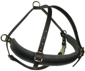 Doberman leather dog harness(handmade leather dog harness)