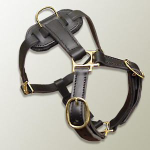 Doberman leather dog harness(handmade leather dog harness)