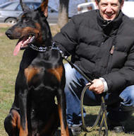 Doberman Dog Muzzles