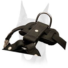 Leather Canine Harness with Strong D-ring for Doberman Handling