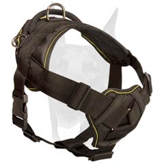 Soft padded chest plate Doberman harness