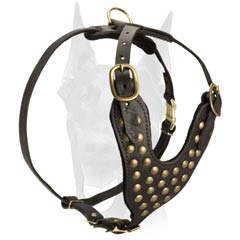 Fancy leather harness for Doberman