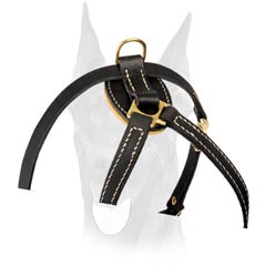 Exclusive style Doberman harness