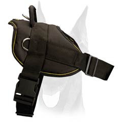 All-weather nylon Doberman harness