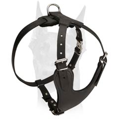 Strong durable Doberman harness