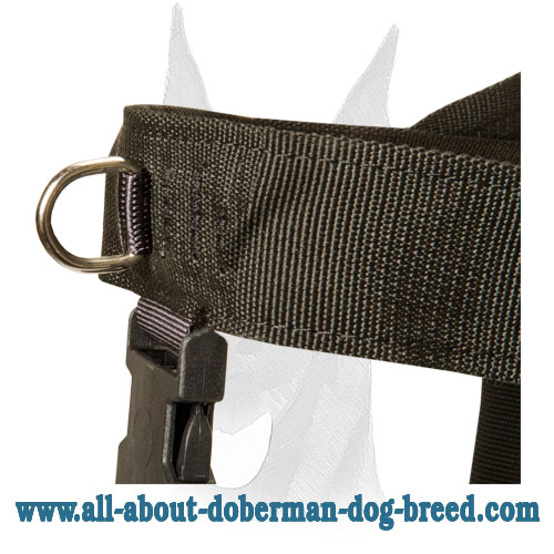 Comfortable nylon Doberman harness