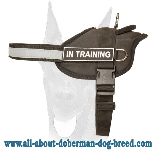 Comfortable nylon Doberman harness