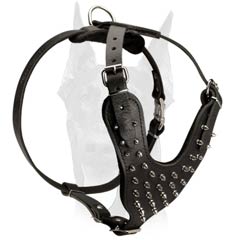 Best value leather harness for Doberman