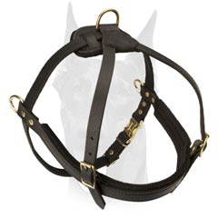 Extra light weight Doberman harness