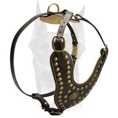 Attractive look harness with studs for Doberman