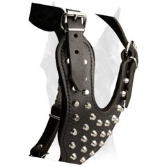 Doberman leather harness