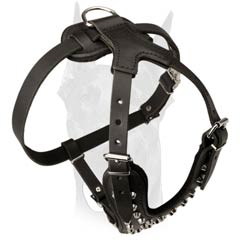 Super comfortable leather harness for Doberman