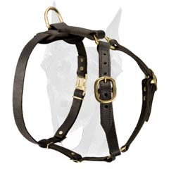 Lightweight Leather Doberman Harness