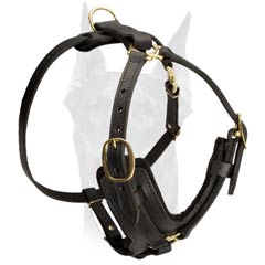 Durable leather harness for Doberman