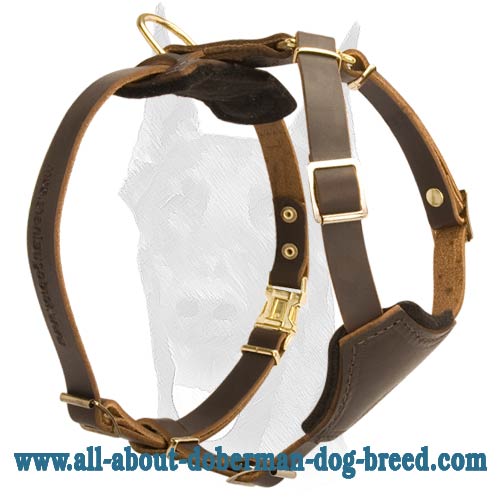 Leather dog harness deals for small dog