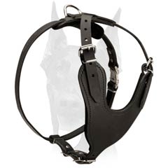 Additional safety harness for Doberman