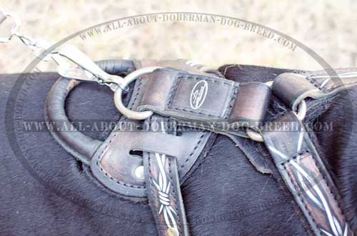 Strong nickel plated hardware for Doberman harness