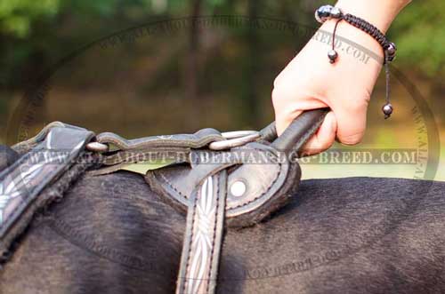 Soft, comfy handle for leather Doberman harness