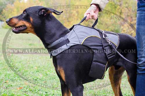 Strong handle for nylon Doberman vest