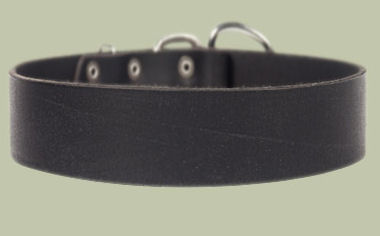 2 inch wide All Weather Collar for Doberman-Leather Collar