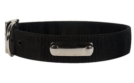 Looking for 2 Ply Nylon Dog Collar w/h name tag/Metal Buckle
