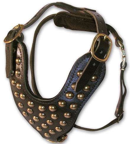 Adjustable Studded 2-Ply Latigo Harness for Doberman