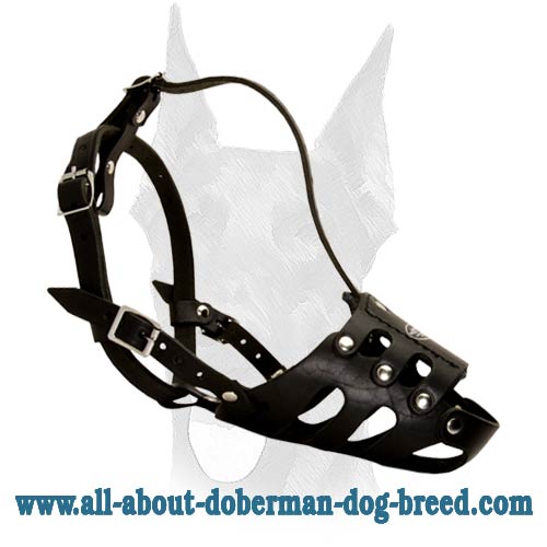 Extra Strong Comfortable Leather Muzzle for Doberman