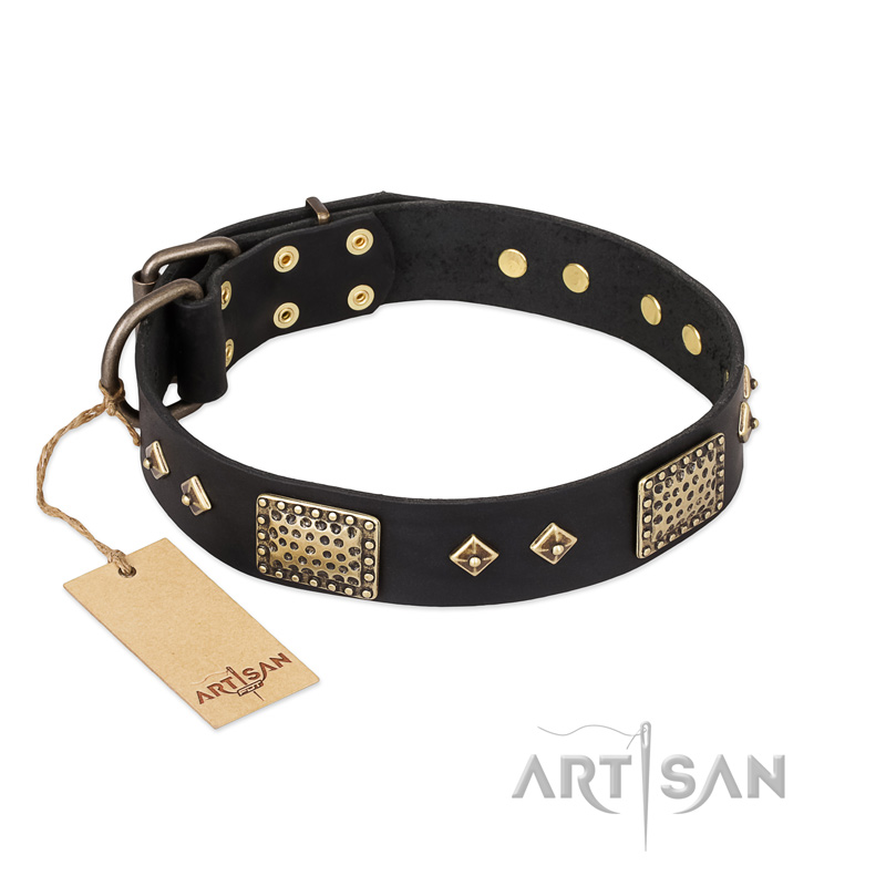 'Jewel Passion' FDT Artisan Fashionable Black Leather Doberman Dog Collar