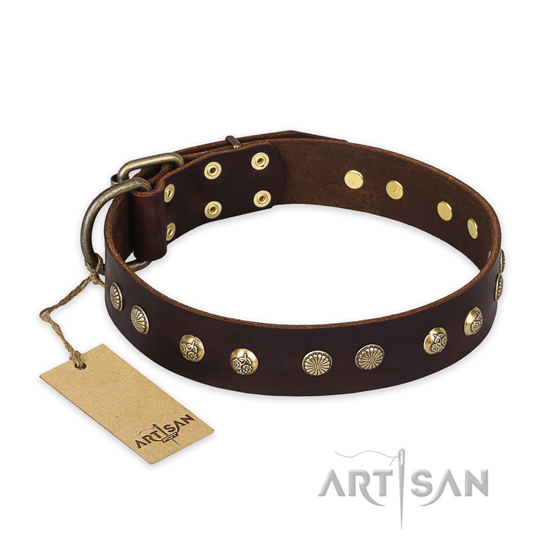 'Bronze Sheen' FDT Artisan Doberman Brown Leather Dog Collar with Old Bronze-Like Plated Studs - 1 1/2 inch (40 mm) wide