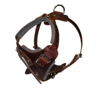 Comfort Padded Dog Harness for Doberman