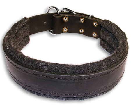 Doberman Padded Black collar 22'' /22 inch dog collar - C24