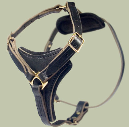 Dog Chest Harness for Doberman -Leather harness