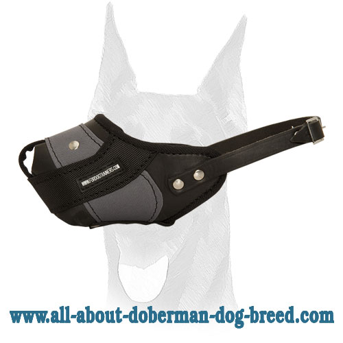 Agitation muzzle discount