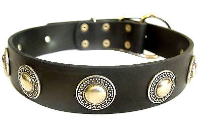 Deluxe Leather Dog Collar with jewelry for Doberman